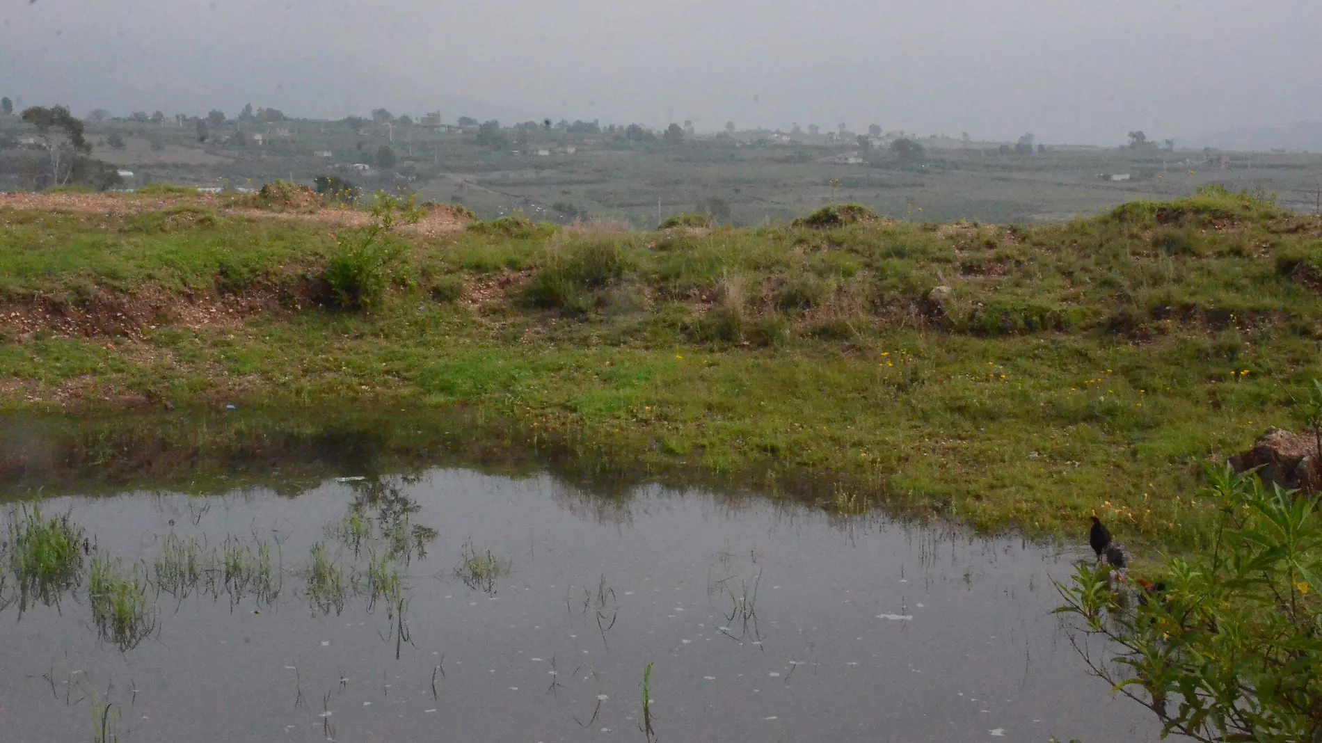 Con la rehabilitaci_n de bordos se ha logrado tener mejor captaci_n de agua para que sirva como riego en las milpas.  Luis Lu_vanos.  El Sol de San Juan del R_o.